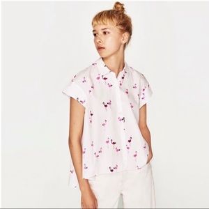 Zara flamingo hi-lo button down shirt